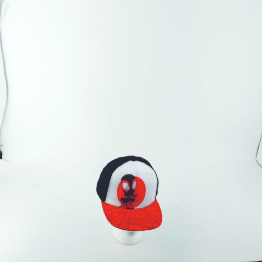 marvel spidey  & amazing friends  hat